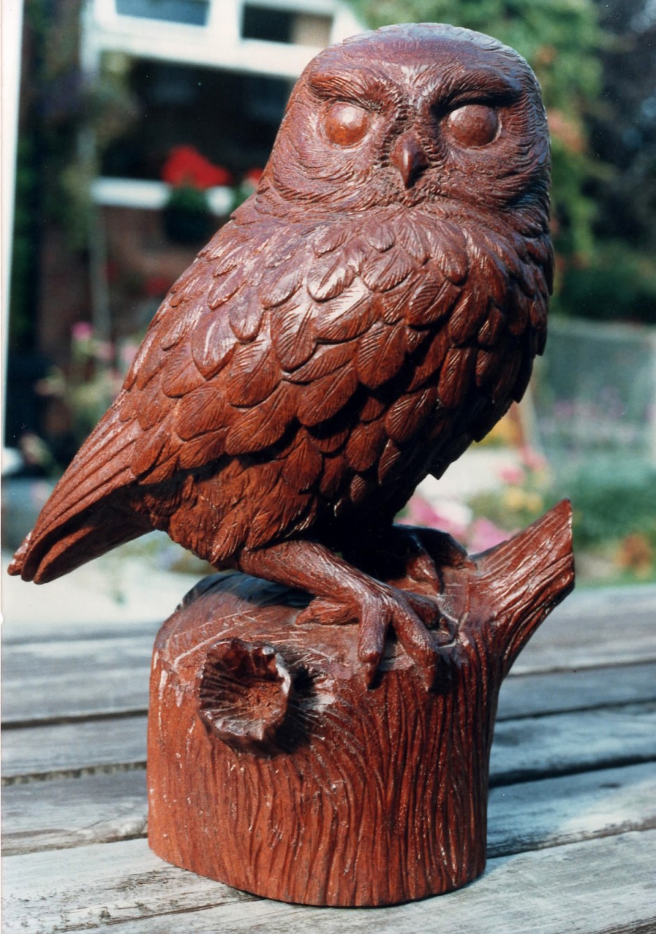 Little Owl In Mahogany - wooden owl, brown owl, wood carved owl, bees wax