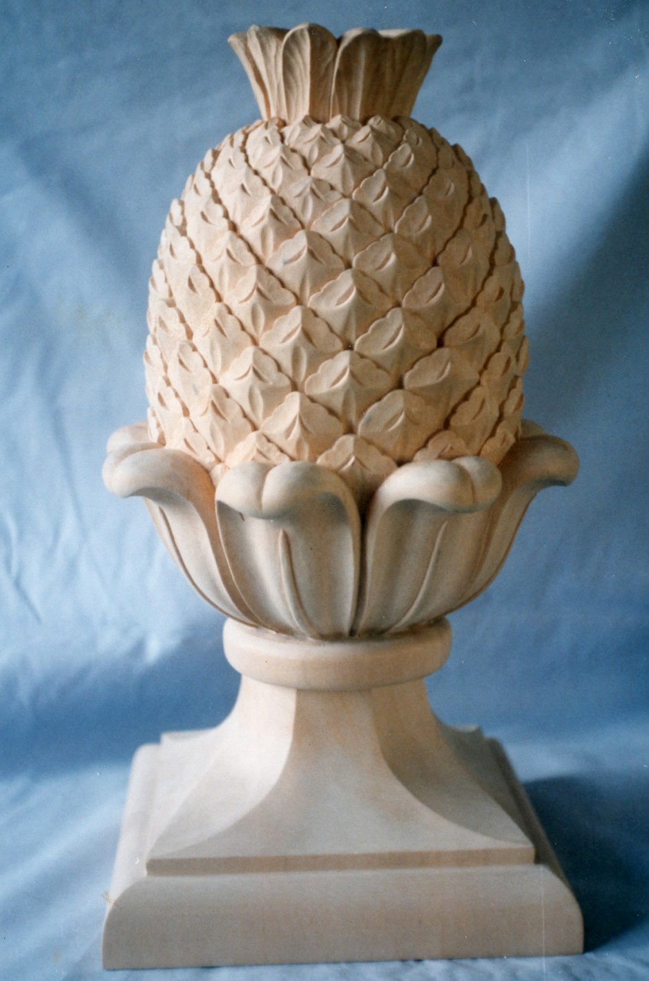 Ornamental Pineapple - ornamental pineapple