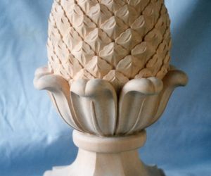 Ornamental Pineapple 2