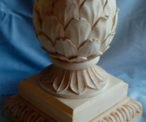 Ornamental Pineapple