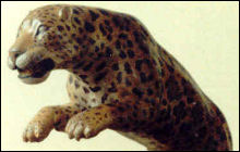 Pouncing Jaguar
