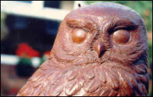 Owl